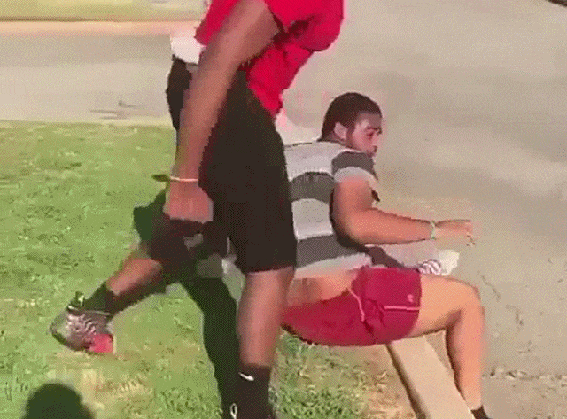 Bewegter Picturedump 374