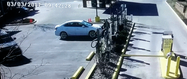 Bewegter Picturedump 374