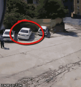 Bewegter Picturedump 274