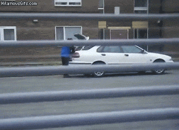 Bewegter Picturedump 274