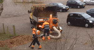 Bewegter Picturedump 274