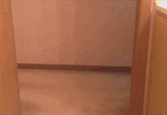 Bewegter Picturedump 274