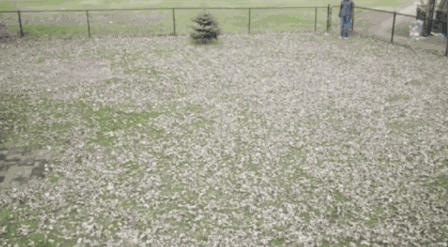 Bewegter Picturedump 274