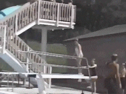 Bewegter Picturedump 248