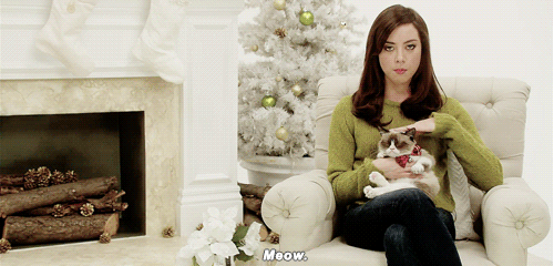 Bewegter Picturedump 248