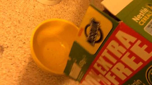 Bewegter Picturedump 248