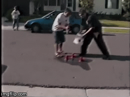 Bewegter Picturedump 248