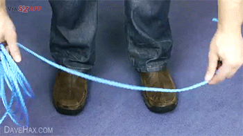 Bewegter Picturedump 248