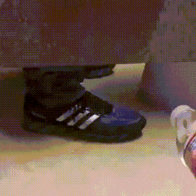 Bewegter Picturedump 248