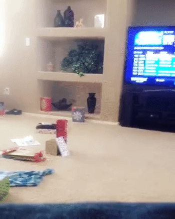 Bewegter Picturedump 357