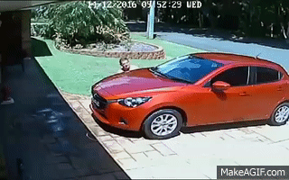 Bewegter Picturedump 357