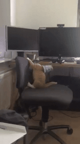 Bewegter Picturedump 357