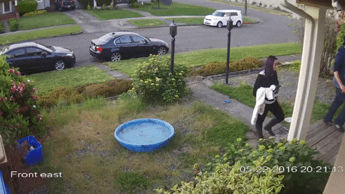 Bewegter Picturedump 357