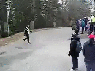 Bewegter Picturedump 257