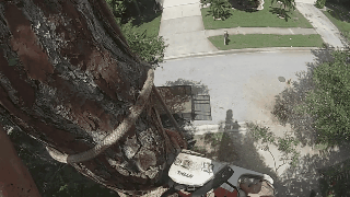 Bewegter Picturedump 257