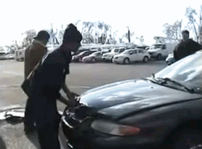 Bewegter Picturedump 261