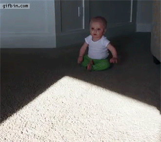 Bewegter Picturedump 261