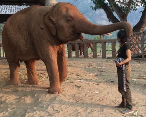 Bewegter Picturedump 422