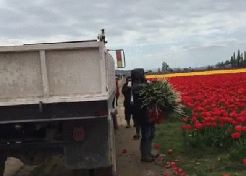 Bewegter Picturedump 422