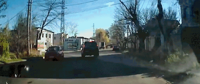 Bewegter Picturedump 422