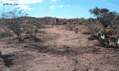 Bewegter Picturedump 422