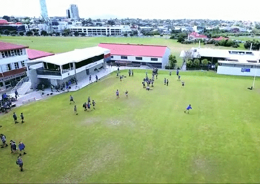 Bewegter Picturedump 296