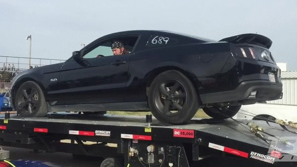 Bewegter Picturedump 296