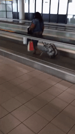 Bewegter Picturedump 370