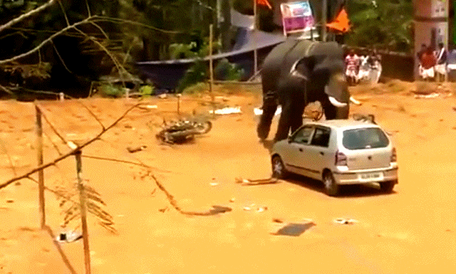 Bewegter Picturedump 383