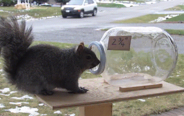 Bewegter Picturedump 383