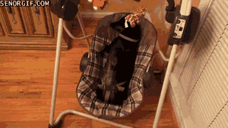 Bewegter Picturedump 383