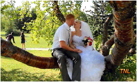 Bewegter Picturedump 383