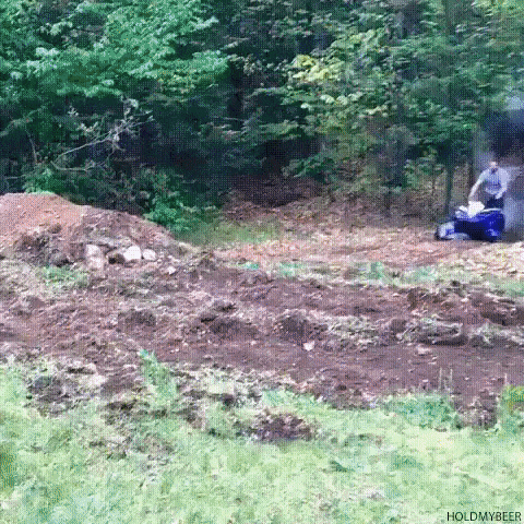 Bewegter Picturedump 383