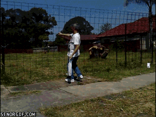 Bewegter Picturedump 383