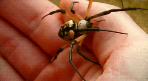 Bewegter Picturedump 283