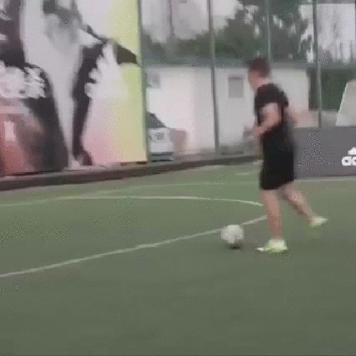 Bewegter Picturedump 283