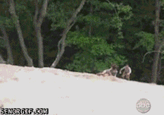 Bewegter Picturedump 283