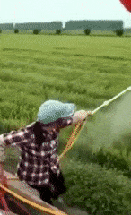 Bewegter Picturedump 444