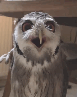 Bewegter Picturedump 444