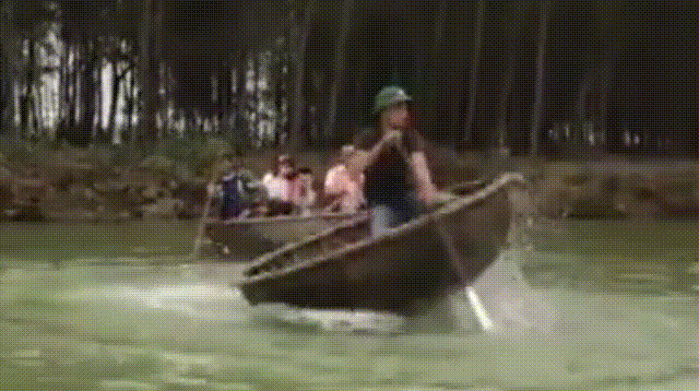 Bewegter Picturedump 444