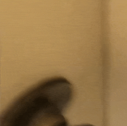 Bewegter Picturedump 457