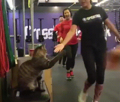 Bewegter Picturedump 457