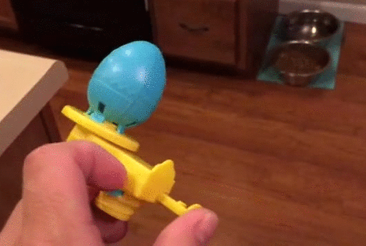 Bewegter Picturedump 457