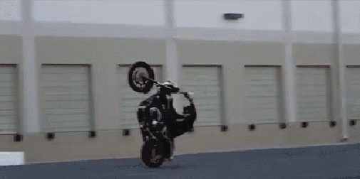 Bewegter Picturedump 431