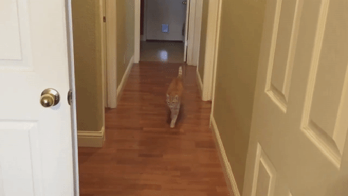 Bewegter Picturedump 431