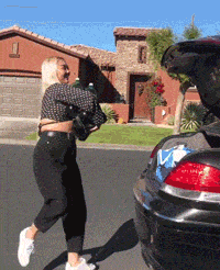 Bewegter Picturedump 431