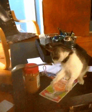 Bewegter Picturedump 331