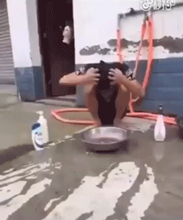 Bewegter Picturedump 331