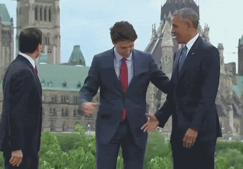 Bewegter Picturedump 331