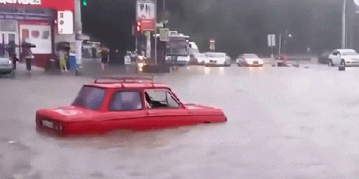 Bewegter Picturedump 331